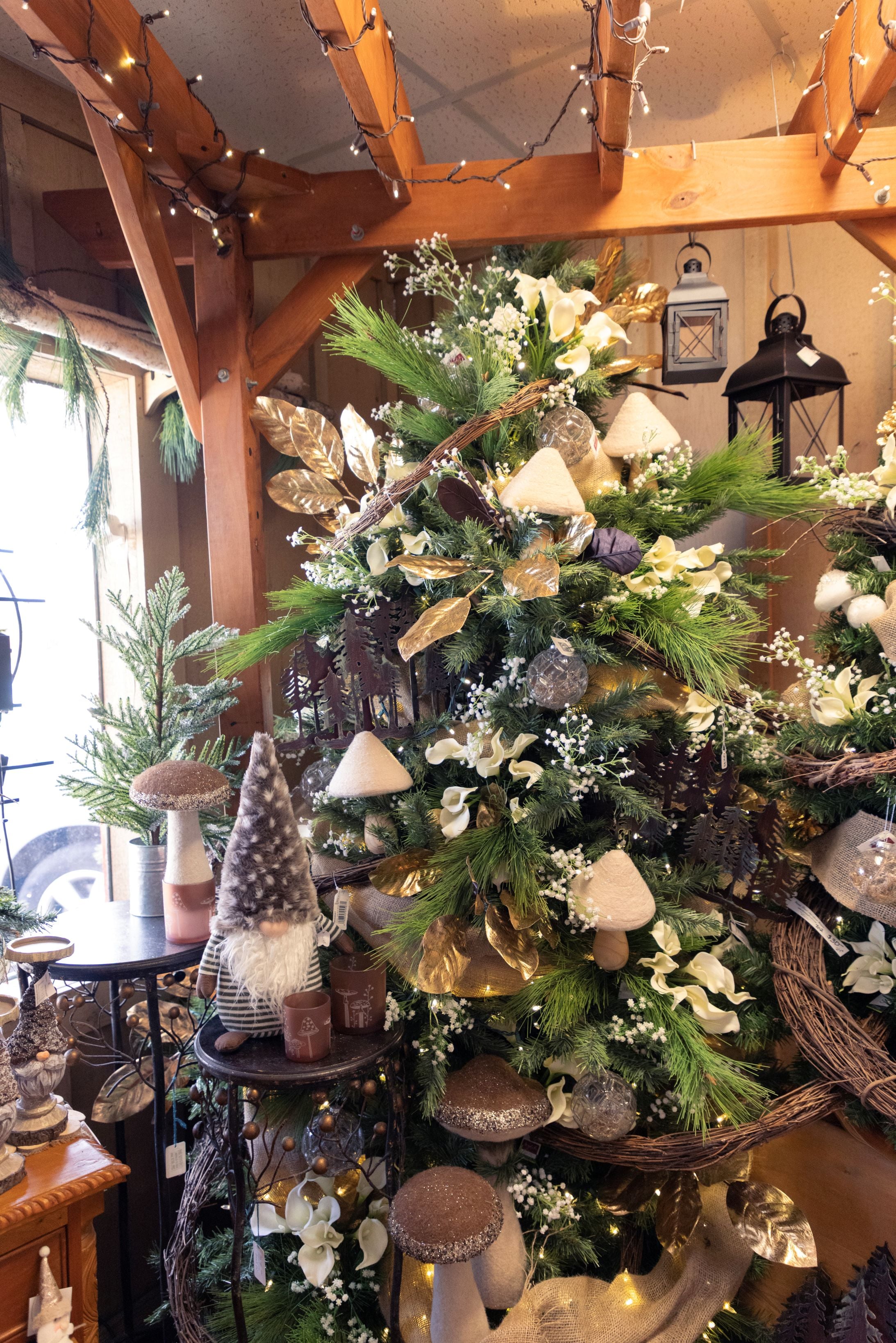 Haentze Floral display