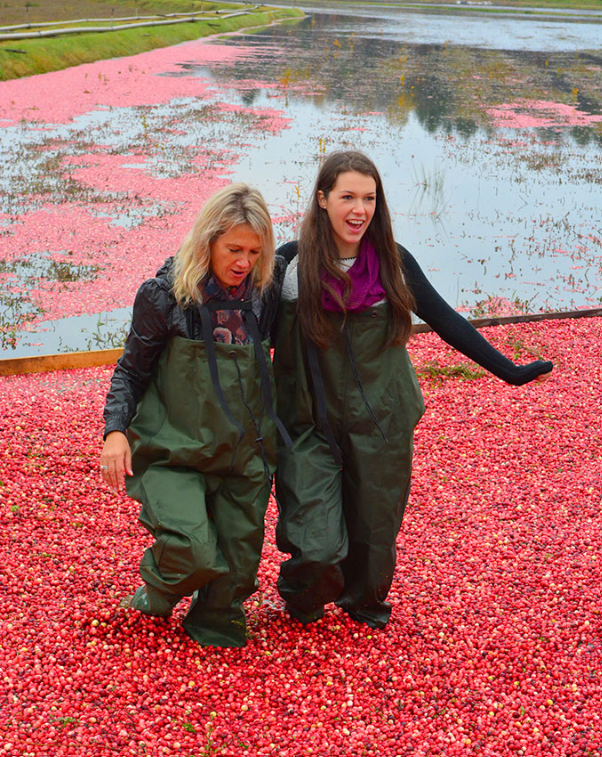 Guests enjoying Warrens WI Cranberry Festival