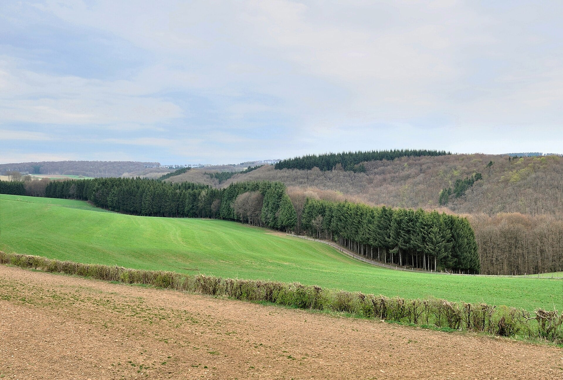 Luxembourg countryside
