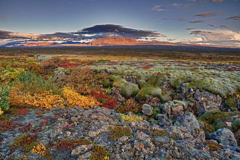 Thingvellir autumn colours