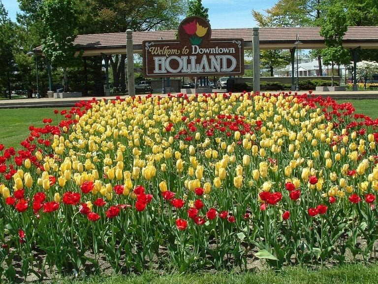 Best time to visit Holland, MI for tulips